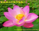 Published on 10/2/2017 ���ֹ�,��½�󷨵��ӹ�ףʦ�������(30��)