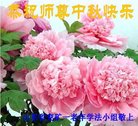 Published on 10/2/2017 ���ֹ�,��½�󷨵��ӹ�ףʦ�������(27��)