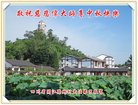 Published on 10/2/2017 ���ֹ�,���󷨵��ӹ�ףʦ�������(24��)