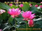 Published on 10/1/2017 ���ֹ�,���󷨵��ӹ�ףʦ�������(24��)