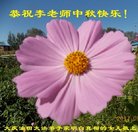 Published on 10/1/2017 ���ֹ�,��½�������ڹ�ף���ʦ�������