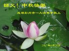 ֹ,ɶ󷨵ӹףʦ(20)