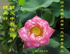 ֹ,ɶ󷨵ӹףʦ(20)