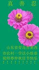 Published on 10/1/2017 ���ֹ�,���󷨵��ӹ�ףʦ�������(24��)
