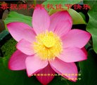 Published on 10/4/2017 ���ֹ�,��½�󷨵��ӹ�ףʦ�������(31��)