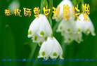 Published on 10/4/2017 ���ֹ�,��½�󷨵��ӹ�ףʦ�������(25��)