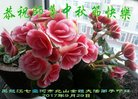 Published on 10/4/2017 ���ֹ�,��½�󷨵��ӹ�ףʦ�������(32��)