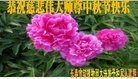 Published on 10/4/2017 ���ֹ�,��½�󷨵��ӹ�ףʦ�������(33��)