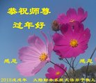 Published on 2/13/2018 ���ֹ�,����ҵ�󷨵��ӹ�ףʦ�������(29��)