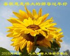 Published on 2/13/2018 ���ֹ�,����ҵ�󷨵��ӹ�ףʦ�������(29��)