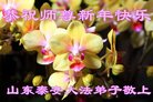 Published on 2/18/2018 ���ֹ�,ɽ���������󷨵��ӹ�ףʦ�������(33��)