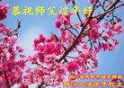 ֹ,ɶ󷨵ӹףʦ(19)