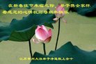 ֹ,մ󷨵ӹףʦ(19)