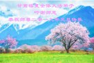 ֹ,󷨵ӹףʦ(18)