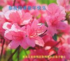 ֹ,󷨵ӹףʦ(19)