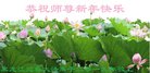 ֹ,󷨵ӹףʦ(19)
