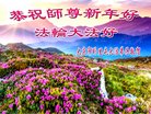 ֹ,󷨵ӹףʦ(20)