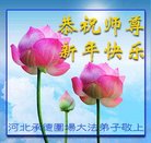 ���ֹ�,�ӱ��󷨵��ӹ�ףʦ�������(18��)