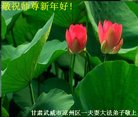 ֹ,󷨵ӹףʦ(24)