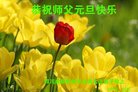 ֹ,ɶ󷨵ӹףʦ(18)