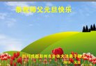 ֹ,ɶ󷨵ӹףʦ(18)