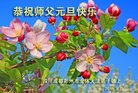 ֹ,ɶ󷨵ӹףʦ(18)