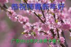 ֹ,㶫󷨵ӹףʦ(25)