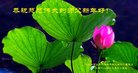 ֹ,ӱ󷨵ӹףʦ(25)