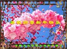 ֹ,󷨵ӹףʦ(24)