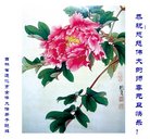 ���ֹ�,����ʡ�󷨵��ӹ�ףʦ�������(23��)