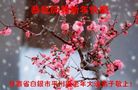 ֹ,󷨵ӹףʦ(24)