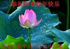 ֹ,󷨵ӹףʦ(24)