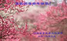 ֹ,ӱ󷨵ӹףʦ(28)