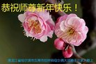 ֹ,󷨵ӹףʦ(19)