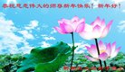 ֹ,ɶ󷨵ӹףʦ(19)