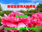 ֹ,մ󷨵ӹףʦ(25)