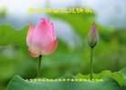 ֹ,Ĵ󷨵ӹףʦ(23)