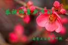 ֹ,մ󷨵ӹףʦ(25)