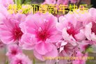 ֹ,󷨵ӹףʦ(23)