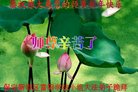 ֹ,󷨵ӹףʦ(22)