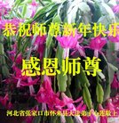 ���ֹ�,�żҿڴ󷨵��ӹ�ףʦ�������(25��)