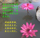 ���ֹ�,�����󷨵��ӹ�ףʦ�������(23��)