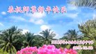 ֹ,󷨵ӹףʦ(19)