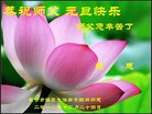 ֹ,󷨵ӹףʦ(22)