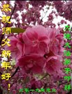 ֹ,󷨵ӹףʦ(22)