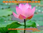 ���ֹ�,�����󷨵��ӹ�ףʦ�������(28��)