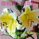 ���ֹ�,�ȷ��󷨵��ӹ�ףʦ�������(27��)