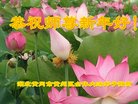 ֹ,󷨵ӹףʦ(25)