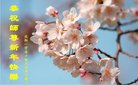 ���ֹ�,�����󷨵��ӹ�ףʦ�������(24��)