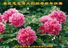 ֹ,Ĵ󷨵ӹףʦ(32)